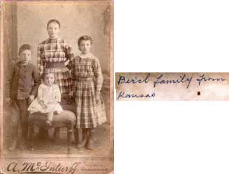 Birch Family